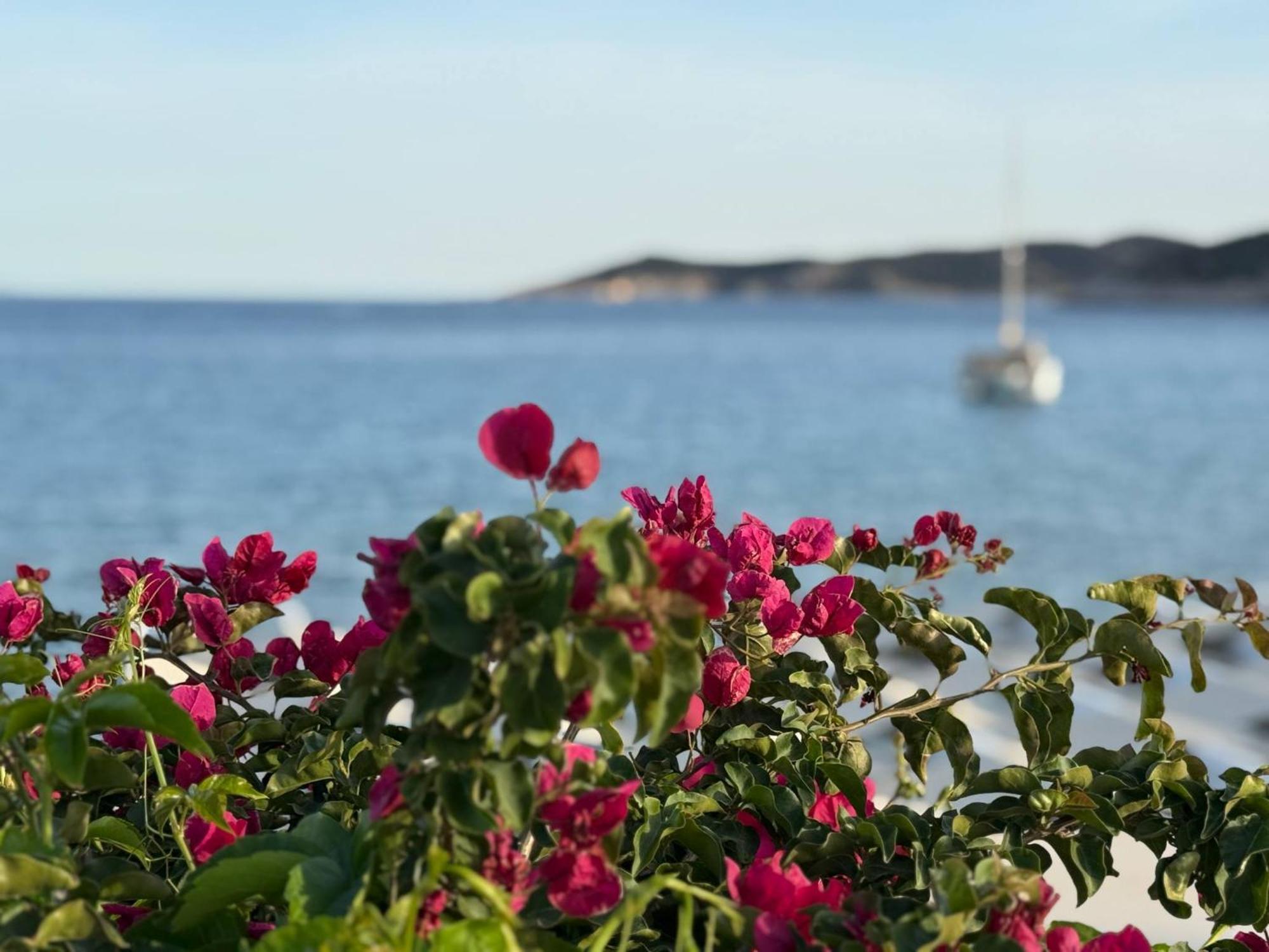 Kohylia Beach Guest House Platis Gialos  Eksteriør bilde